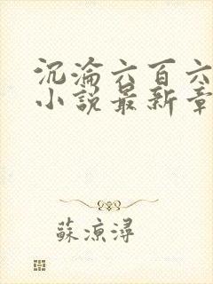 沉沦六百六十六小说最新章节更新