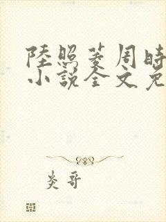 陆照菱周时阅的小说全文免费封面