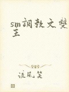 sm调教文双男主
