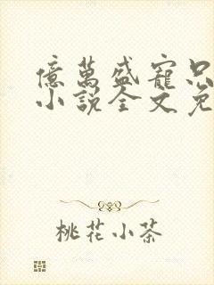 亿万盛宠只为你小说全文免费阅读