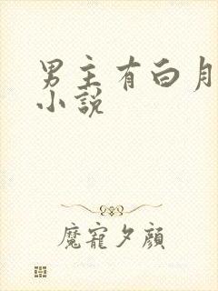 男主有白月光的小说