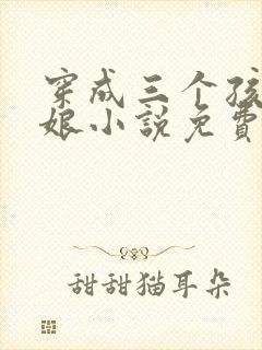 穿成三个孩子的娘小说免费阅读