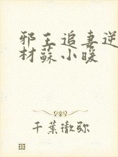 邪王追妻逆天废材苏小暖