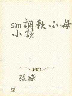 sm调教小母狗小说封面