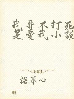 我哥不打死我就是爱我小说免费阅读