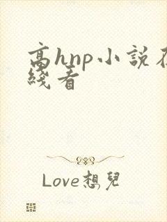 高hnp小说在线看