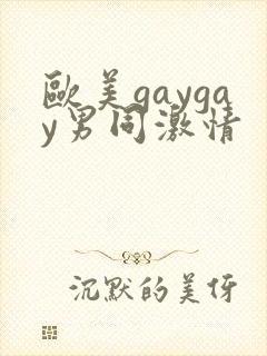 欧美gaygay男同激情封面