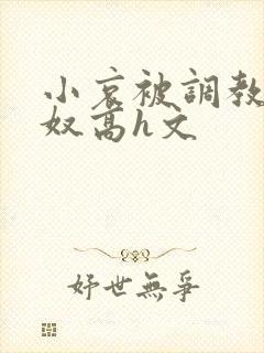 小哀被调教成肉奴高h文封面