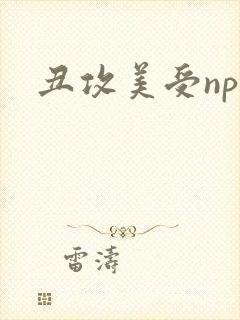 丑攻美受np封面