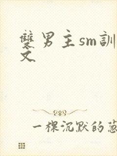 双男主sm训诫文