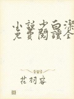 小说少白洁全文免费阅读全文