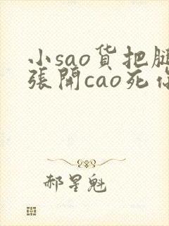 小sao货把腿张开cao死你封面