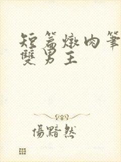 短篇炖肉笔趣阁双男主