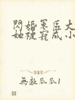 闪婚军区大佬后她被宠成小娇妻