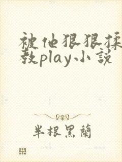 被他狠狠揉搓调教play小说