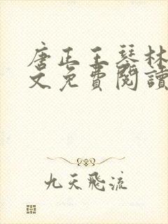 唐正王琴林媛全文免费阅读