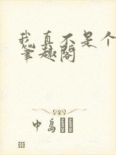 我真不是个文青笔趣阁