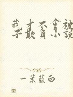 我才不会被女孩子欺负小说