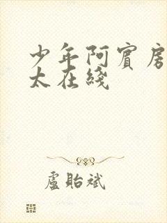 少年阿宾房东太太在线