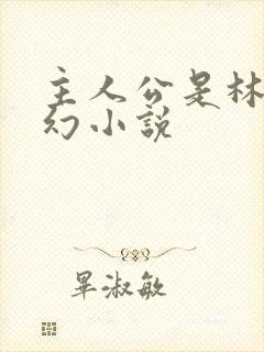 主人公是林天玄幻小说