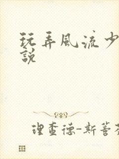 玩弄风流少妇小说封面