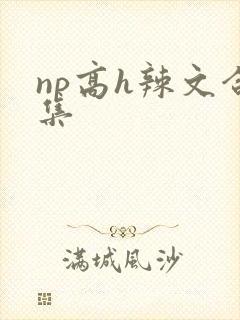np高h辣文合集