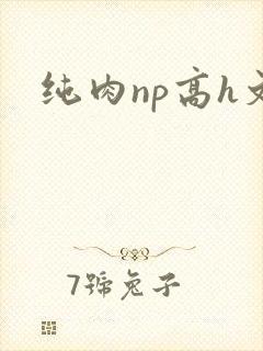 纯肉np高h文封面