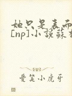 她只是表面清纯[np]小说苏棉