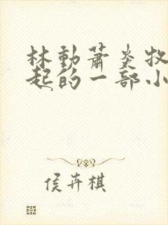 林动萧炎牧尘一起的一部小说叫什么