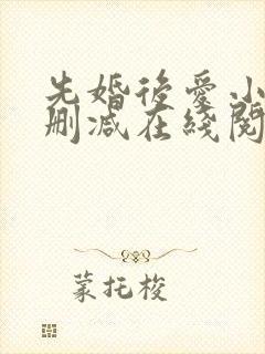 先婚后爱小说无删减在线阅读