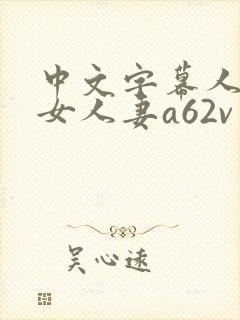 中文字幕人妻熟女人妻a62v网