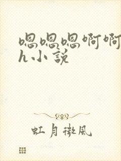 嗯嗯嗯啊啊啊高h小说