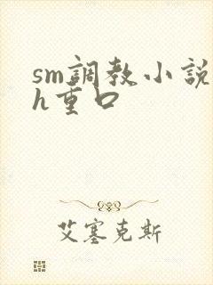 sm调教小说高h重口