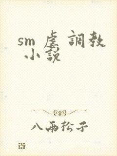 sm 虐 调教 小说