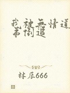 我被无情道小师弟倒追封面