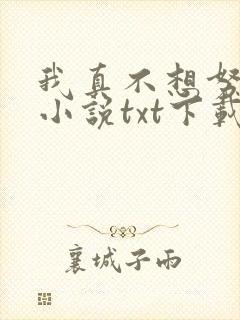 我真不想努力了小说txt下载