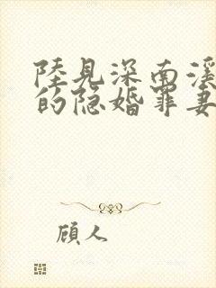 陆见深南溪陆少的隐婚罪妻电子版
