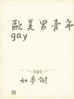 欧美男青年巨大gay