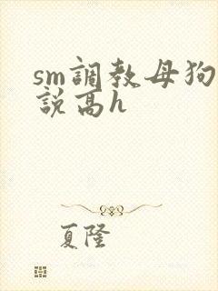 sm调教母狗小说高h封面