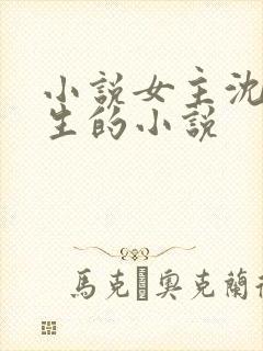 小说女主沈婉重生的小说