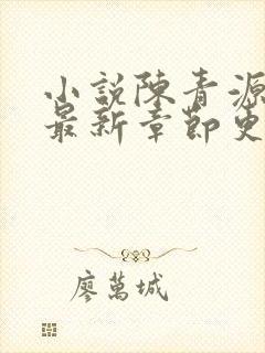 小说陈青源全文最新章节更新