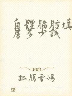 自体脂肪填充乳房多少钱