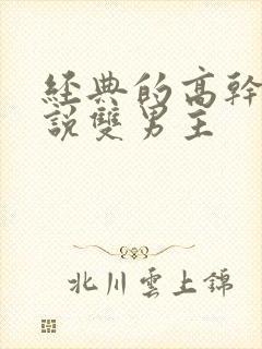 经典的高干文小说双男主封面