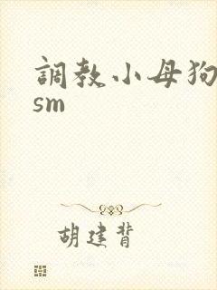 调教小母狗小说sm