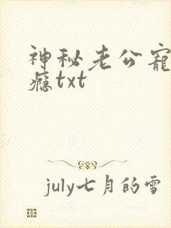 神秘老公宠妻上瘾txt