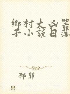 乡村大凶器龙傻子小说日落孤城