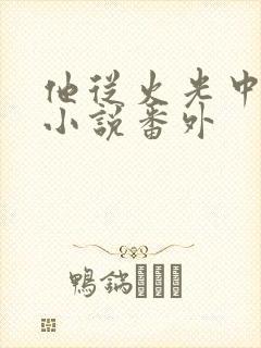 他从火光中走来小说番外