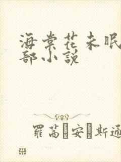 海棠花未眠的全部小说