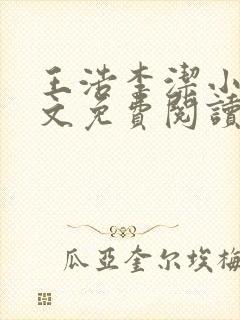 王浩李洁小说全文免费阅读