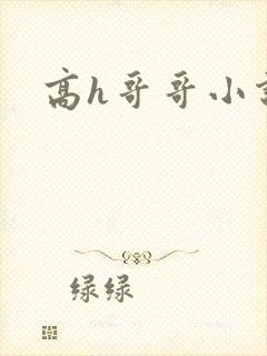 高h哥哥小说